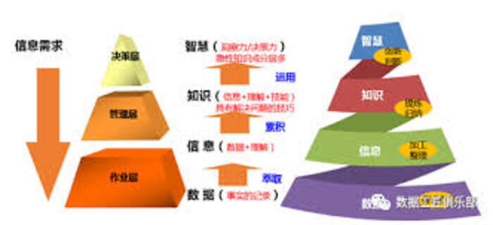 移动端健康应用开发服务